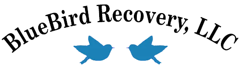 Bluebird Recovery logo