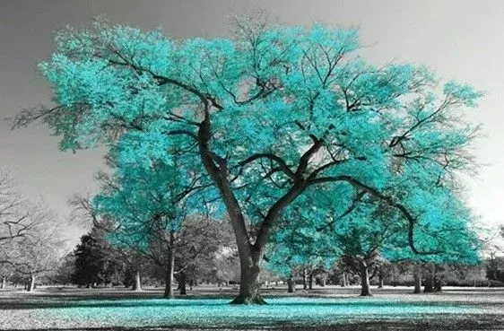 Progress House Camino logo